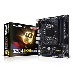 Gigabyte GA-B250M-DS3H Micro ATX LGA1151 Motherboard