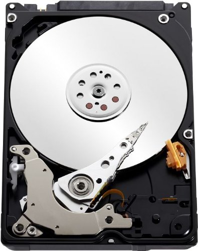 Western Digital Blue 250 GB 2.5" 5400 RPM Internal Hard Drive