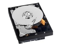 Western Digital AV-GP 320 GB 3.5" 5400 RPM Internal Hard Drive